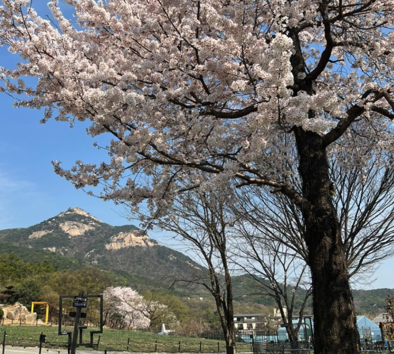 낭만등불축제 일정 체험 즐길거리 주차장 근처 맛집 정보