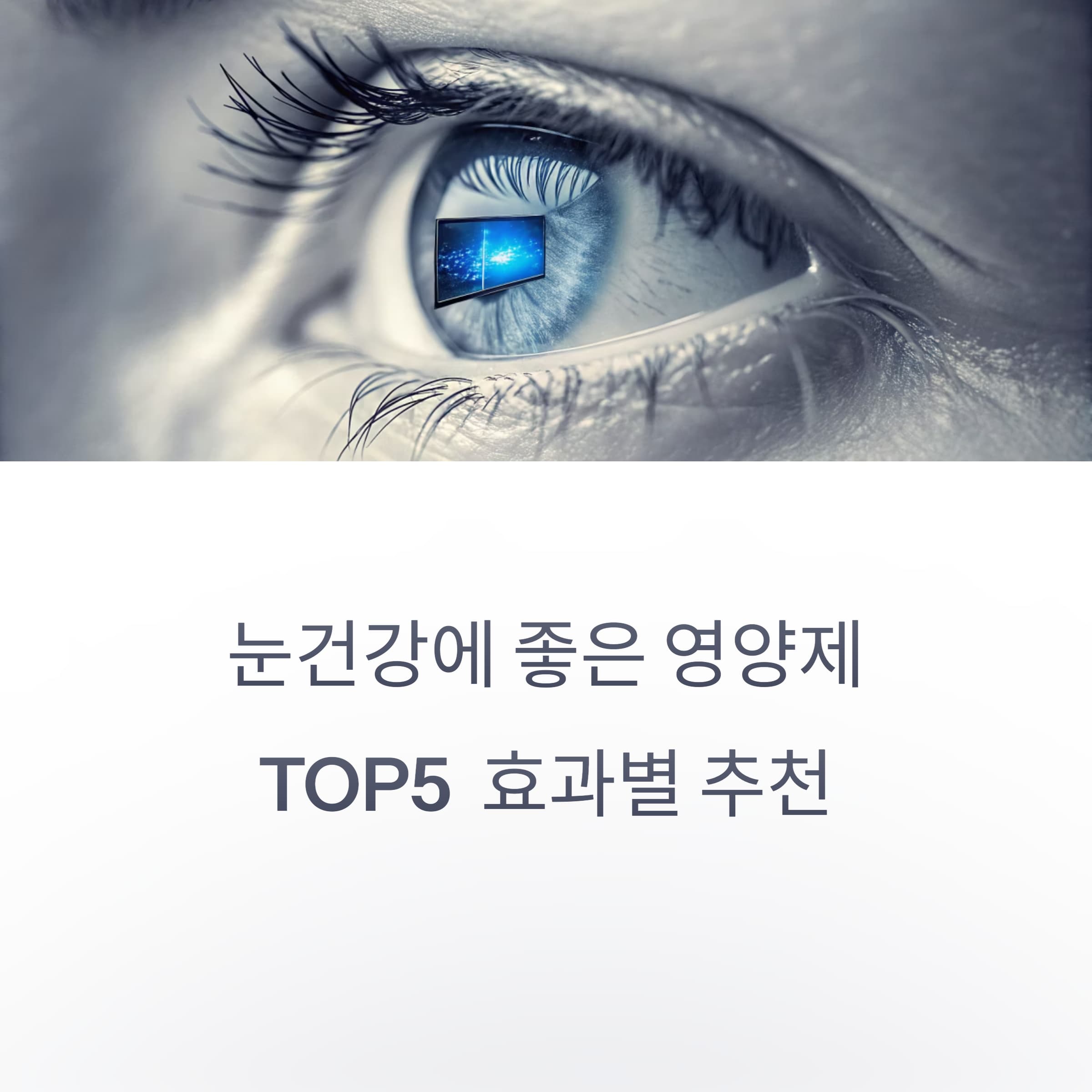눈건강-영양제-추천