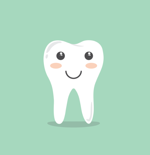 이빨 모형 그림