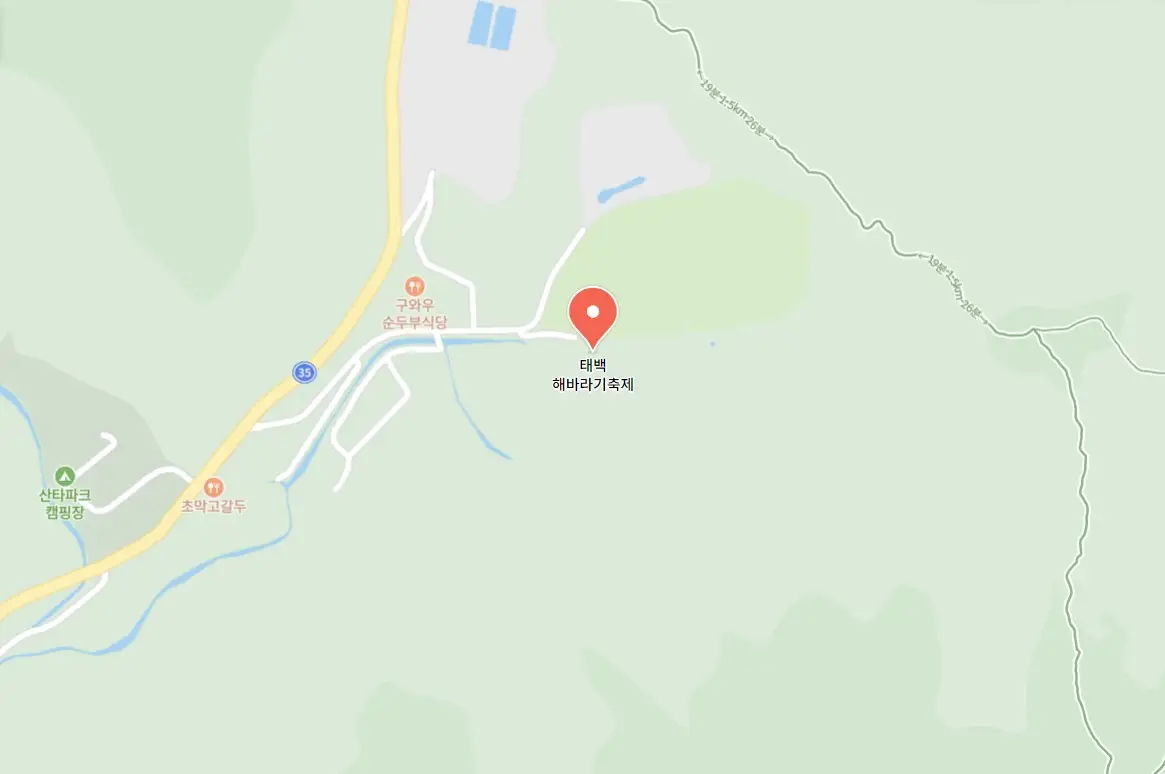 태백 해바라기축제