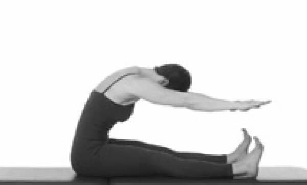 스파인 스트레치(Spine Stretch)