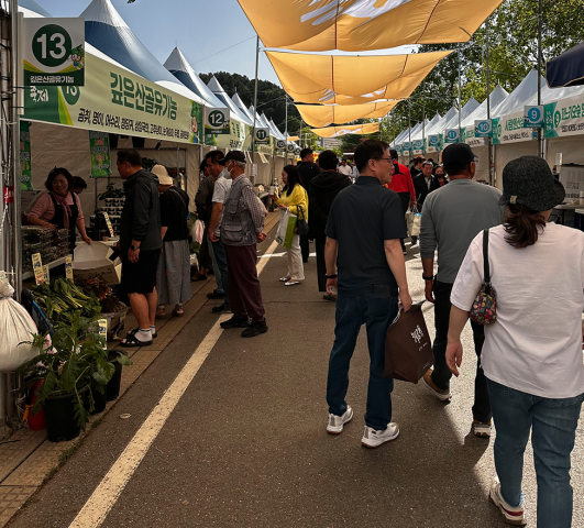 강원n 홍천 산나물축제