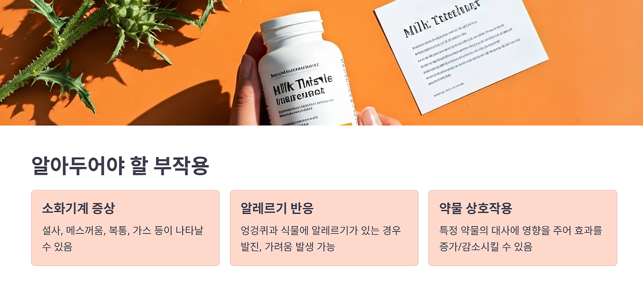 밀크씨슬의 부작용 및 주의사항