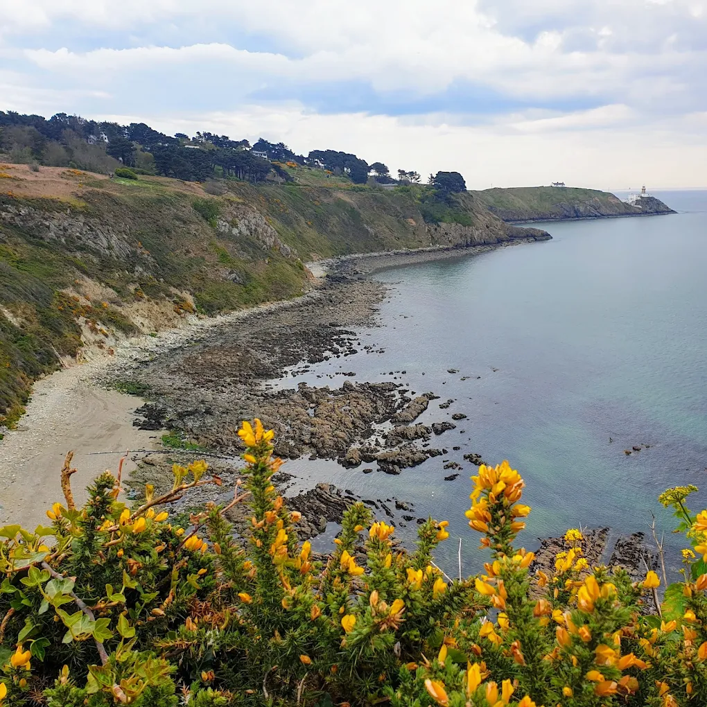 아일랜드여행 관련사진