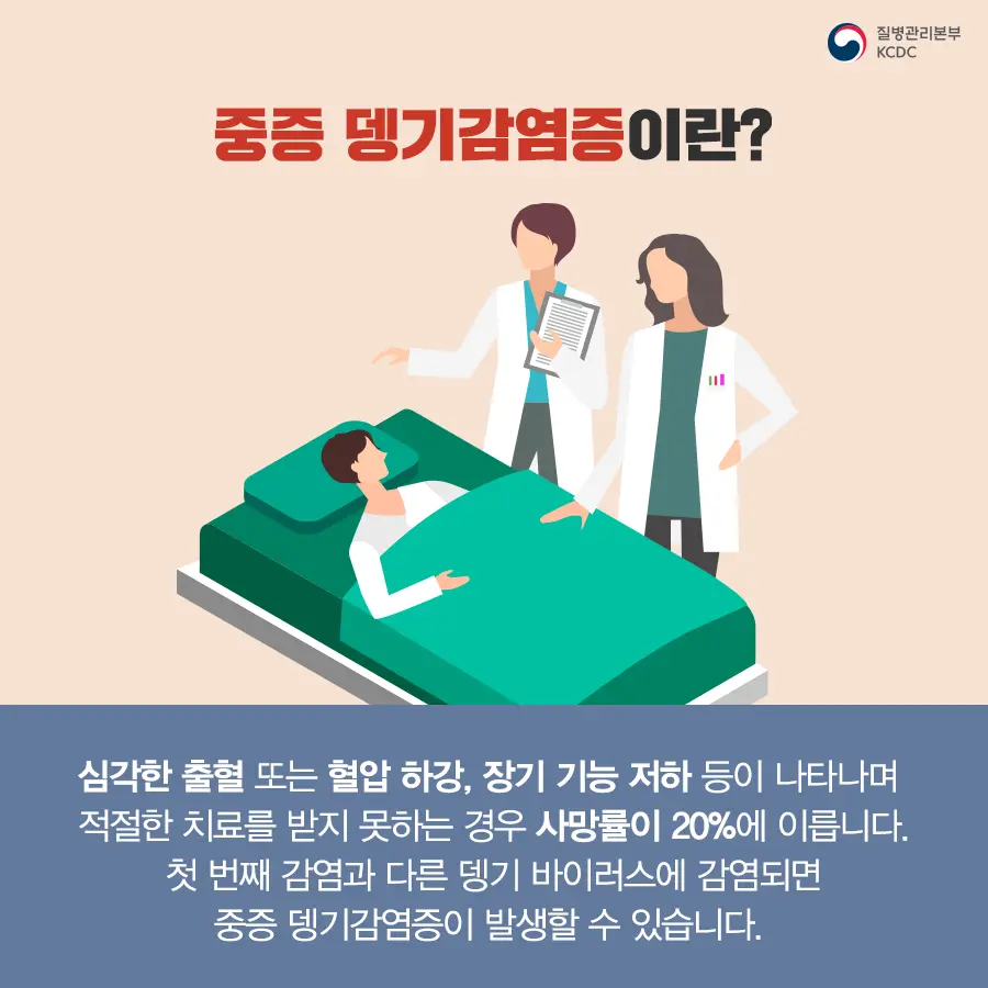 중증 뎅기감염증