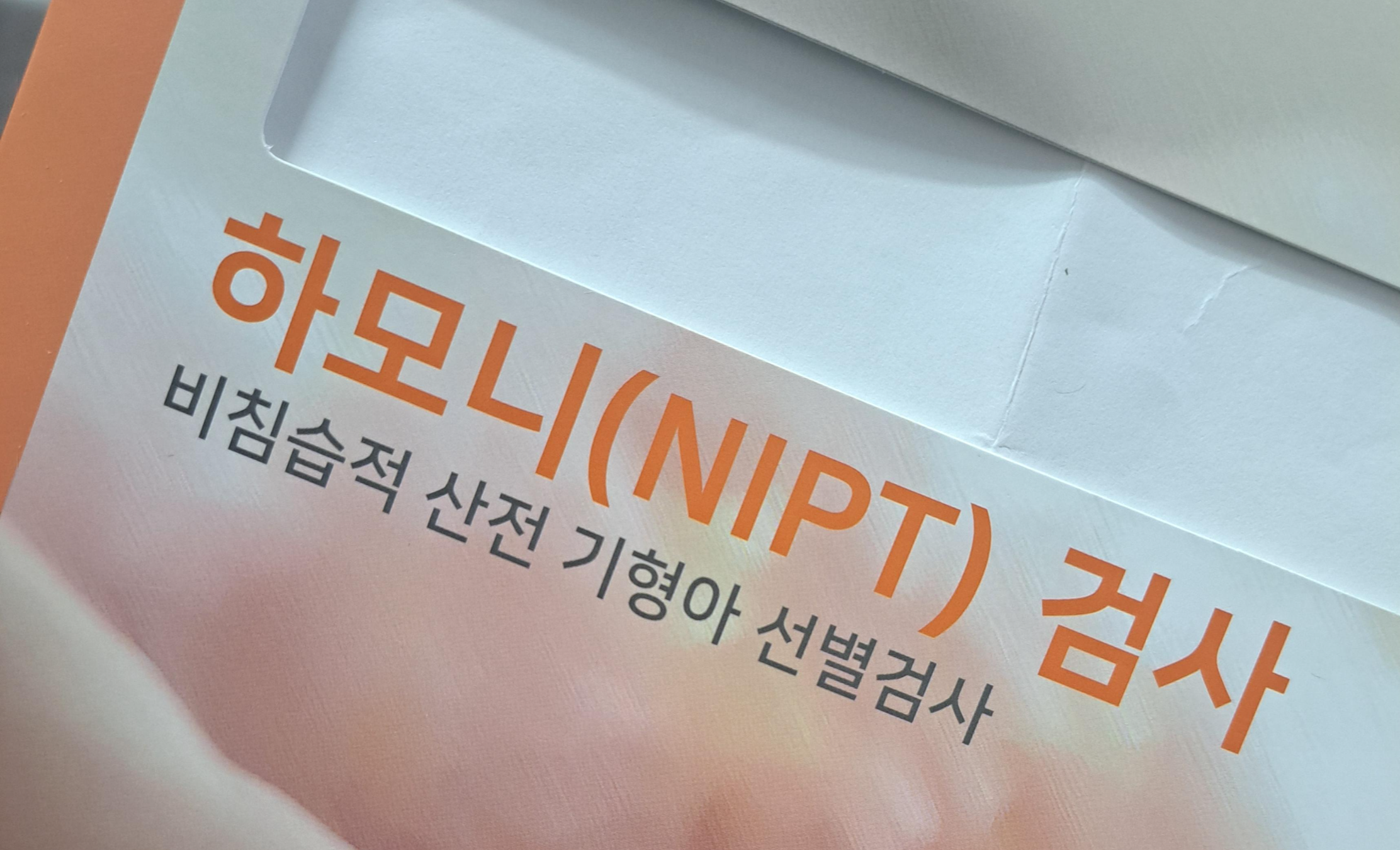 니프티 검사 결과 해석법: 정상·고위험 차이점, 그리고 마인드 컨트롤