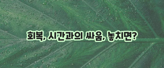 어깨 인대 파열 회복 기간 빠른 회복이 중요합니다
