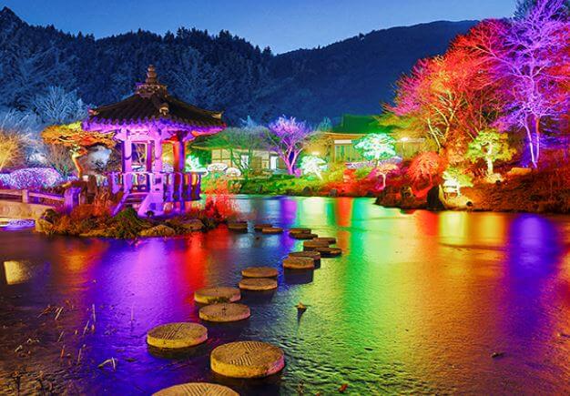 아침고요수목원 오색별빛정원전