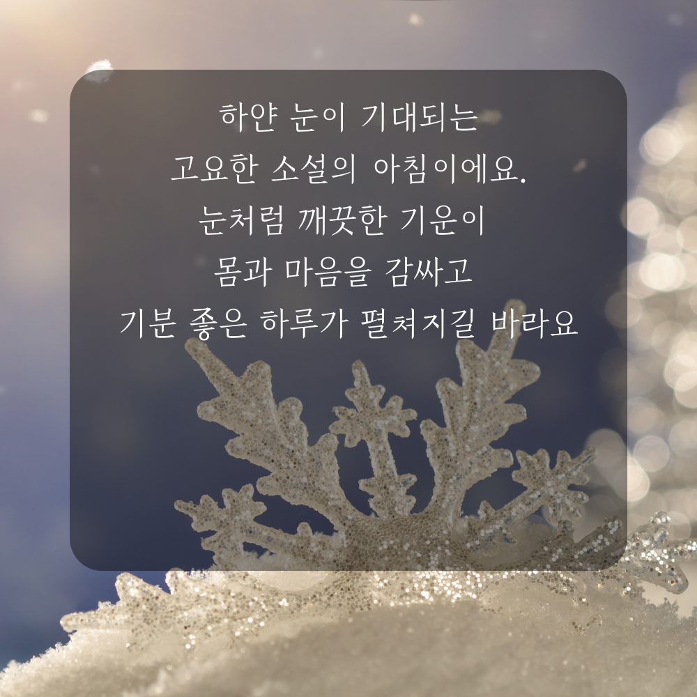 소설 인사말 겨울 인사말 이미지 문구 안부글 오음집 11월