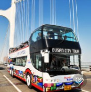 부산 대마도 히타카츠 이즈하라 배편 시간표 괸련 사진