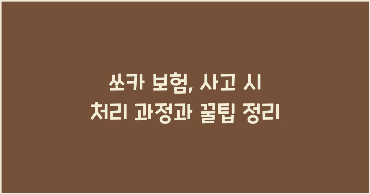 쏘카 보험