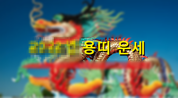 2022년용띠운세