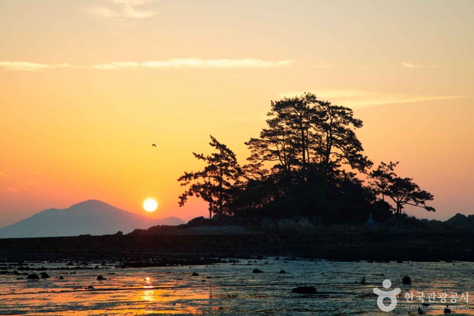 장흥 가볼만한곳 베스트10