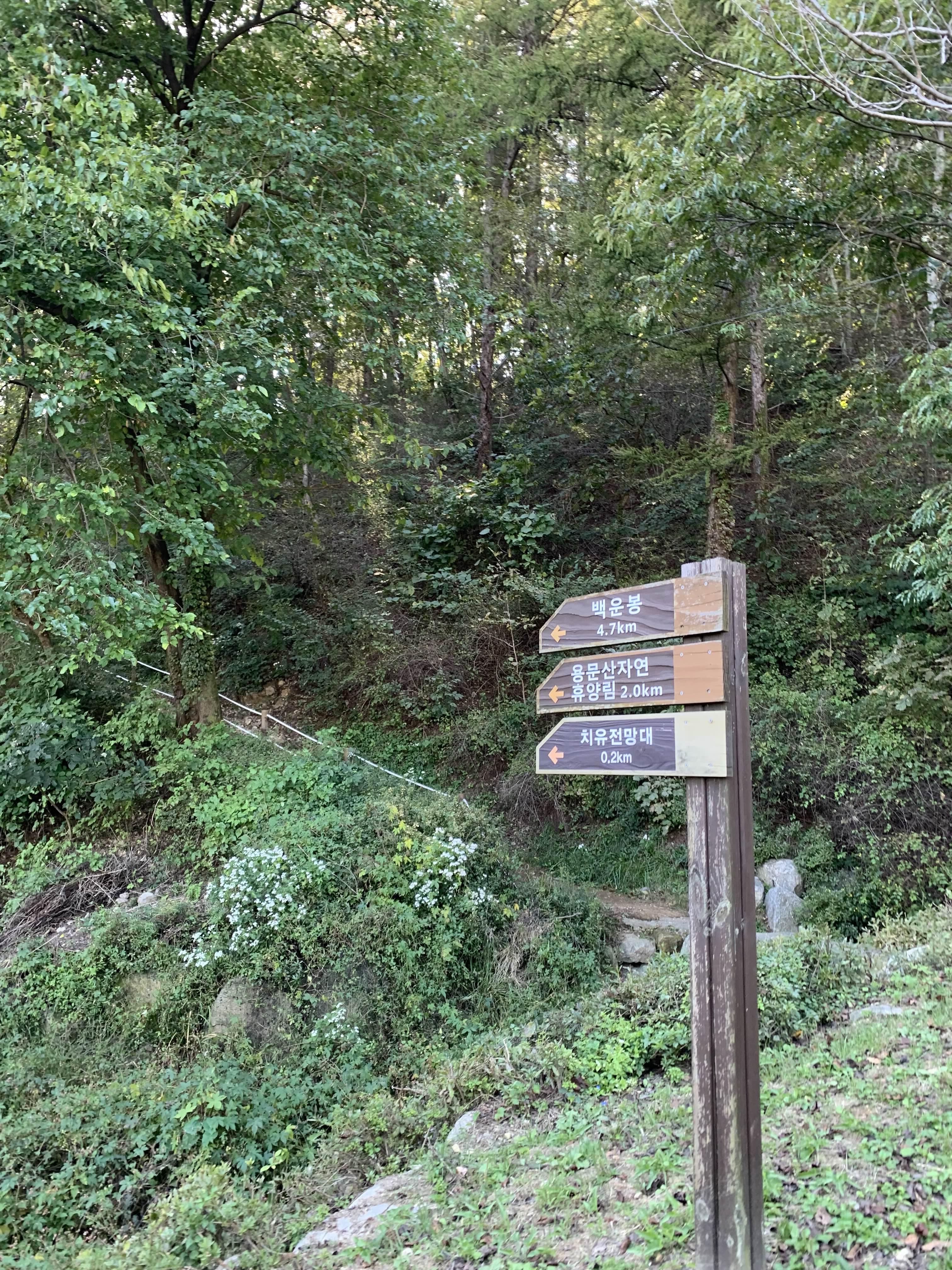 양평 쉬자파크 등산