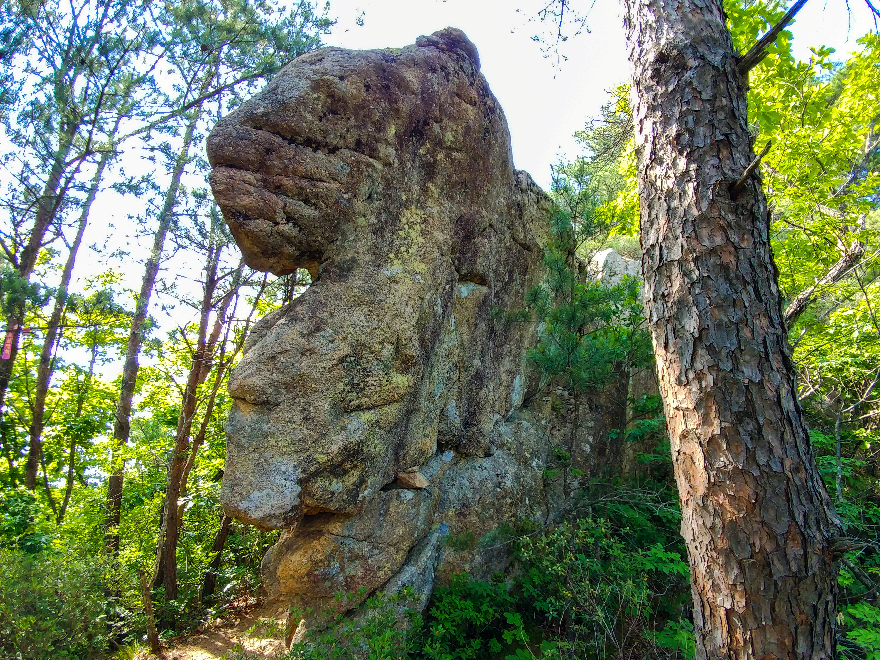 한국 명산 충북 단양 황정산 등산 mountain hiking