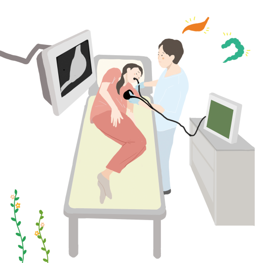 내시경 검사
