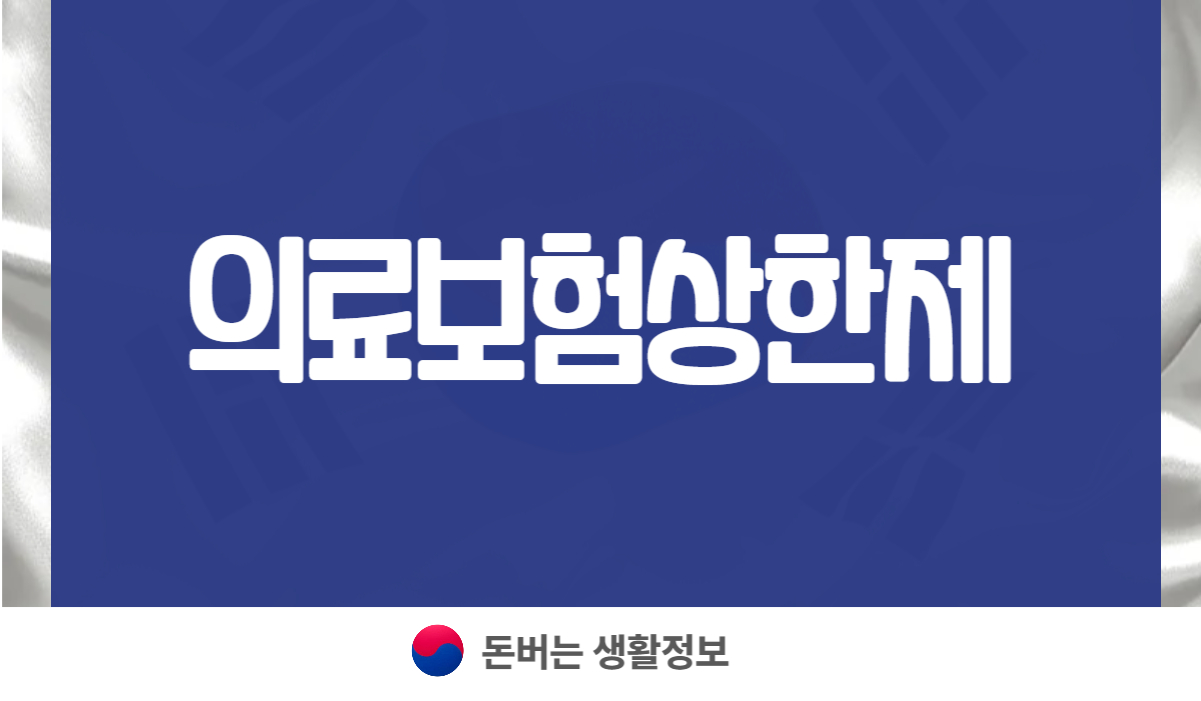 의료보험상한제
