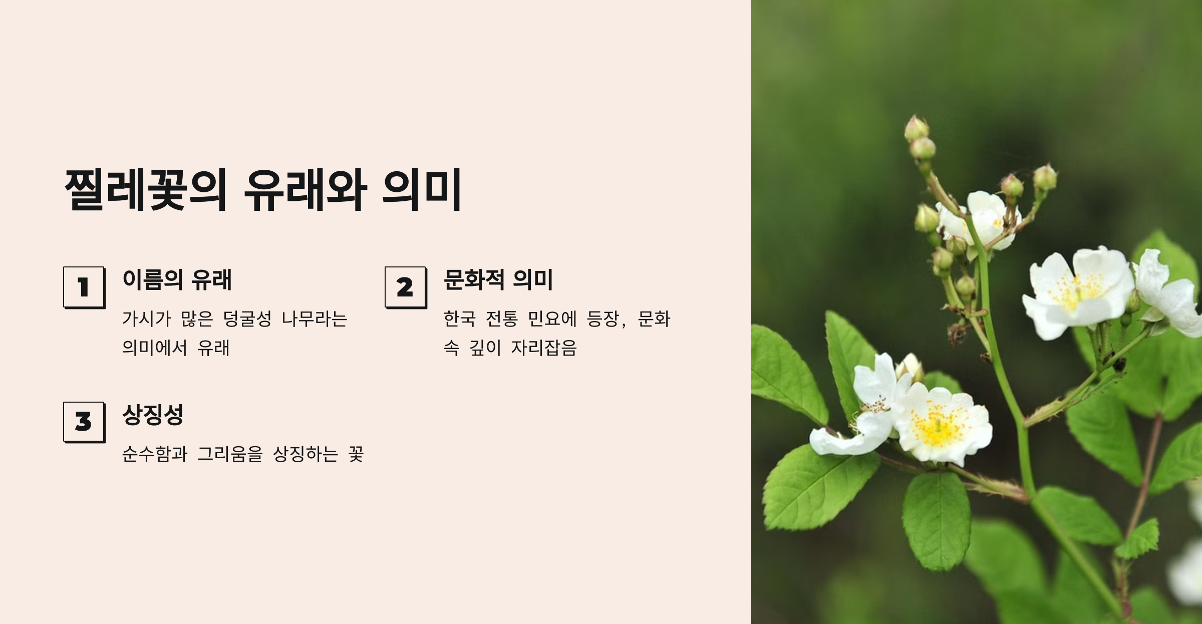 찔레꽃