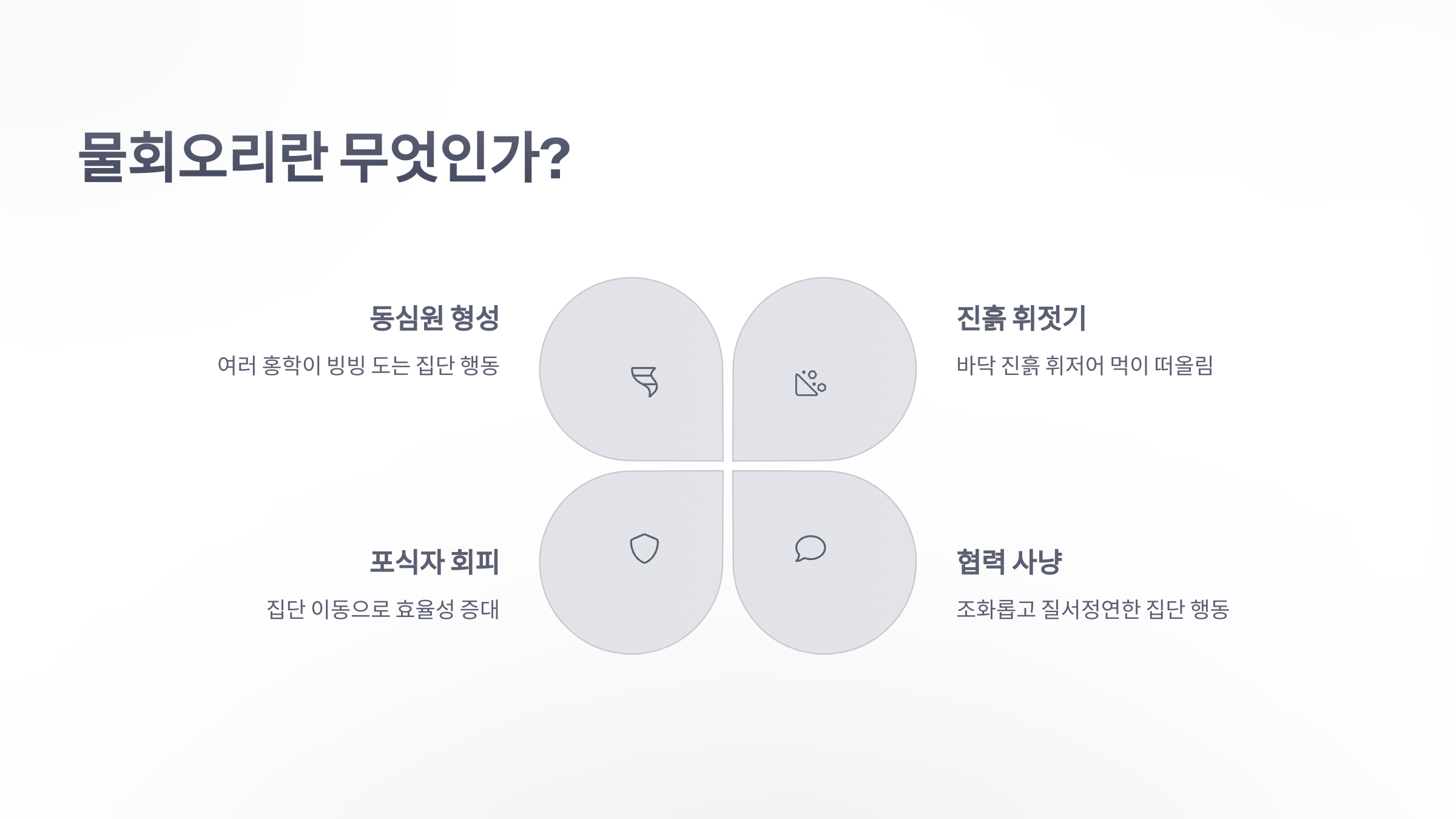 참조-홍학-먹이-사냥,-물회오리-3