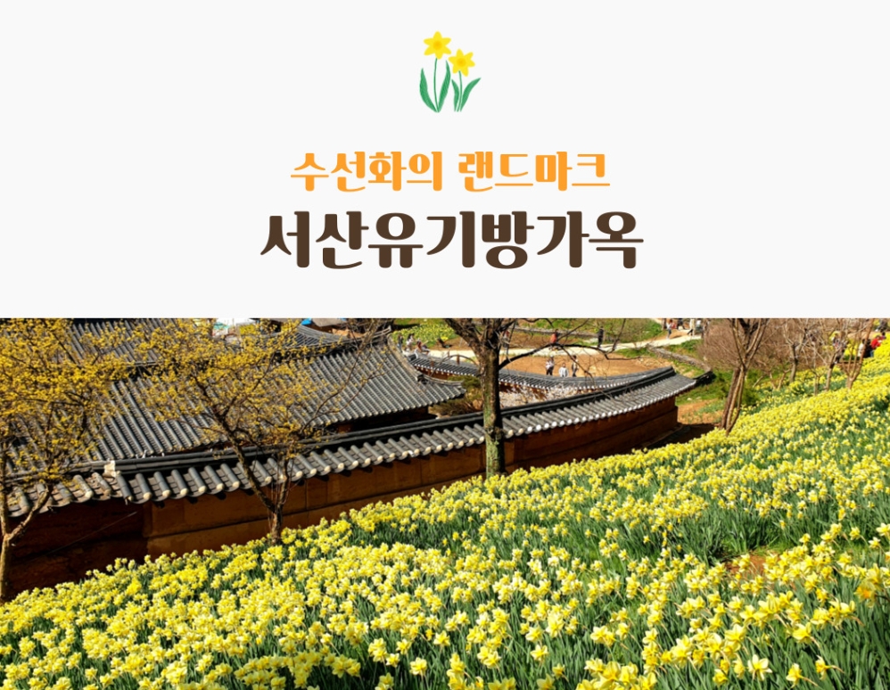 2025 벚꽃 개화시기 벗꽃개화시기 벚꽃개화지도 벗꽃개화지도 사진촬영꿀팁