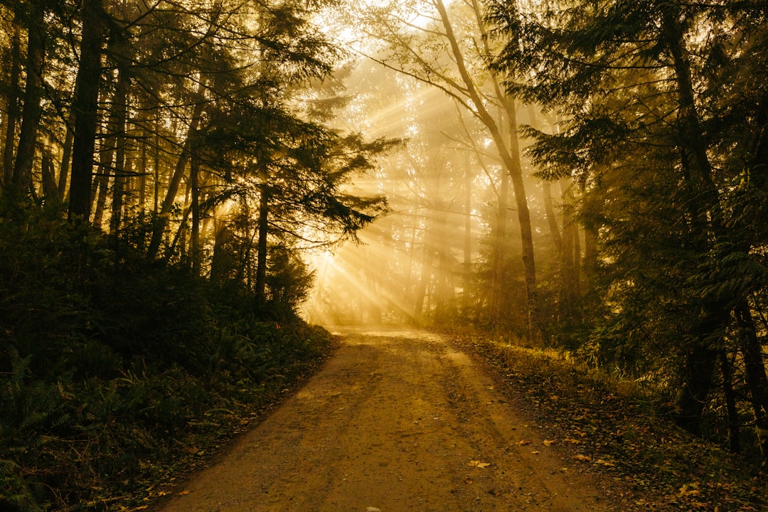 Path