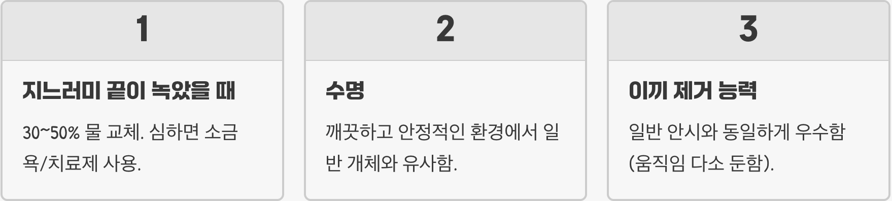 긴 지느러미'의 매력, 롱핀 관상어의 모든 것