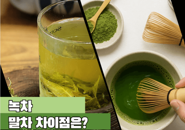 녹차 말차 차이