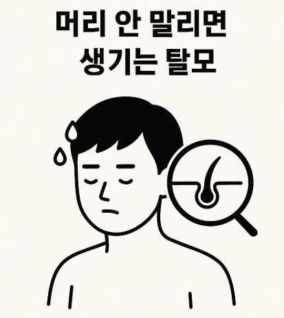 머리 안 말리면 생기는 탈모