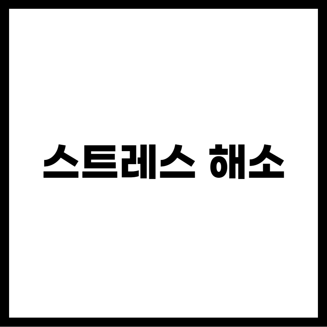 스트레스 해소