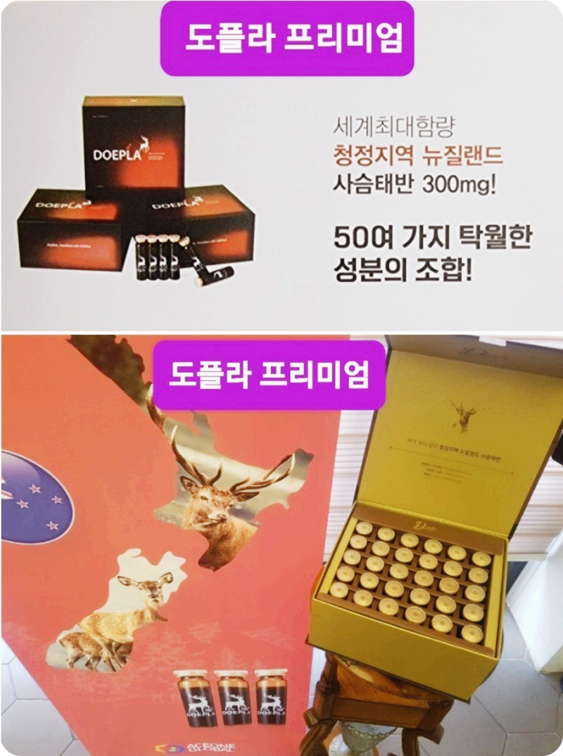 사슴태반 도플라