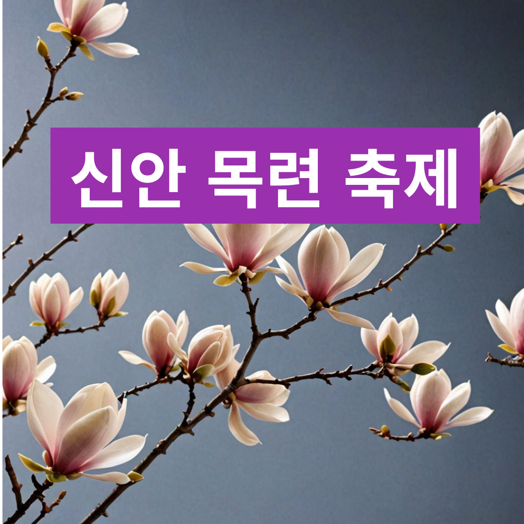 목련 축제