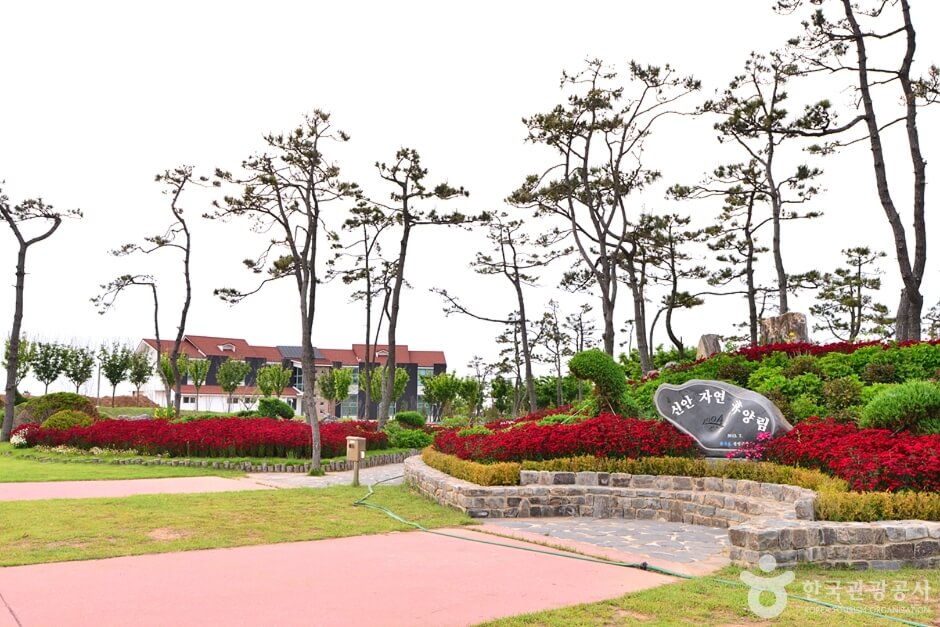 신안 가볼만한곳 베스트 10