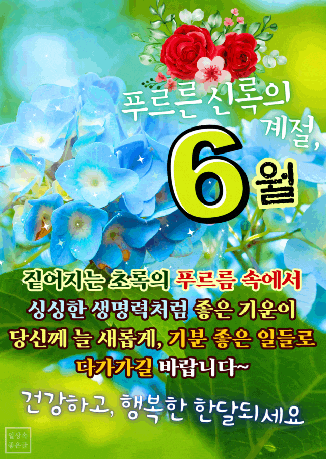 6월 시작 인사말 이미지, 수국과 붉은 장미 장식 배경에 6월 문구가 있는 좋은글 카드