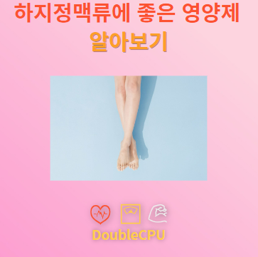 하지정맥류에 좋은 영양제