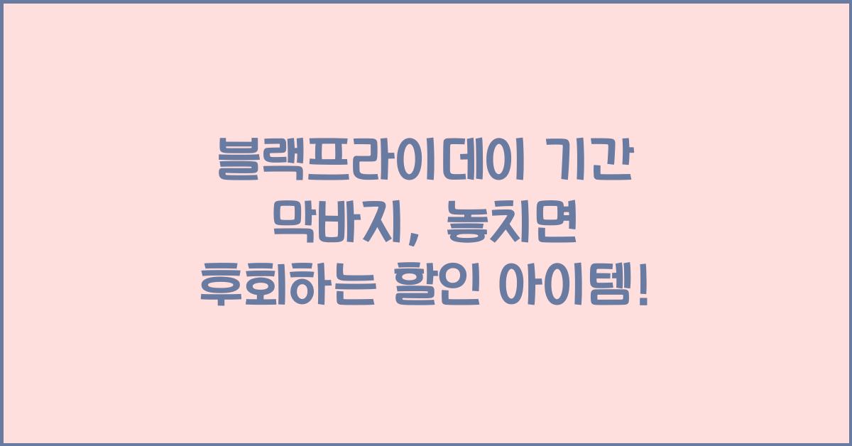 블랙프라이데이 기간