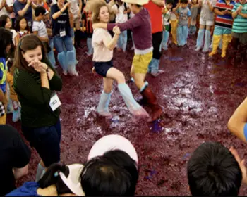 영동포도축제_19