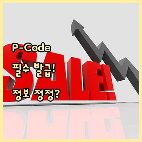 해외직구 필수 개인통관고유부호 P-C..