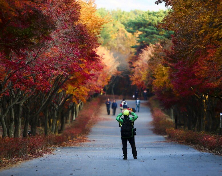 가을 단풍 명소 추천