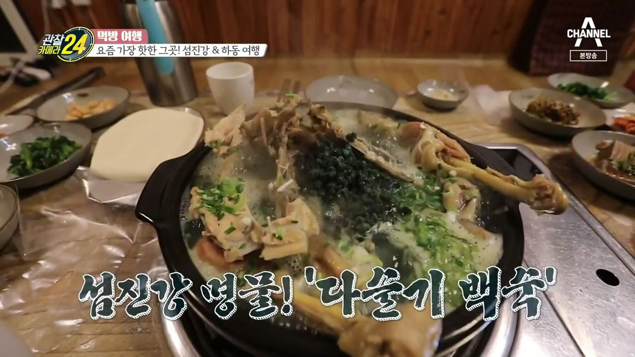 관찰카메라24 먹방여행 경남 하동 아시아 최장 짚라인 재첩 파스타 피자 맛집 전남 곡성 섬진강 다슬기 닭백숙