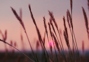 전국민 25만원 민생회복지원금 완벽 정리 19