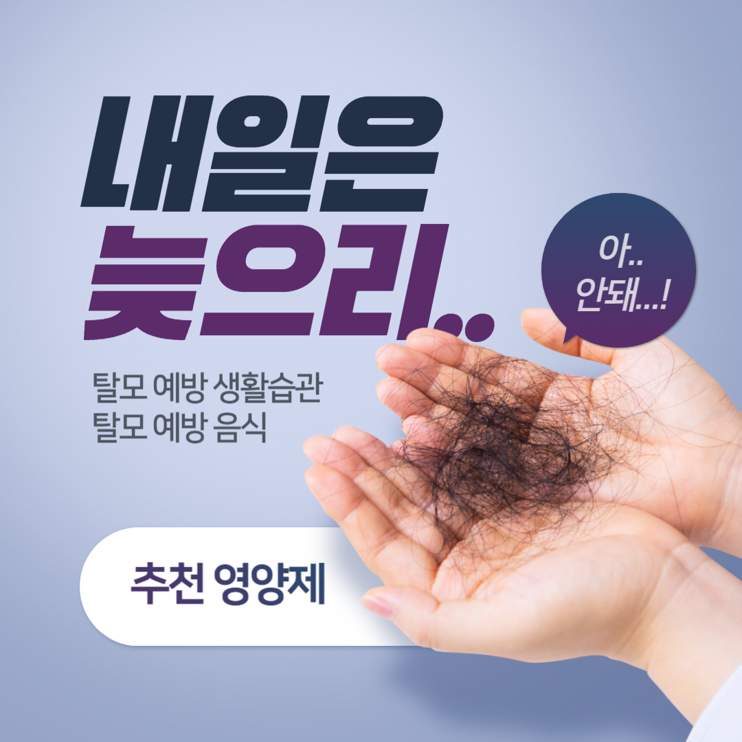 탈모 추천 영양제, 생활습관, 음식