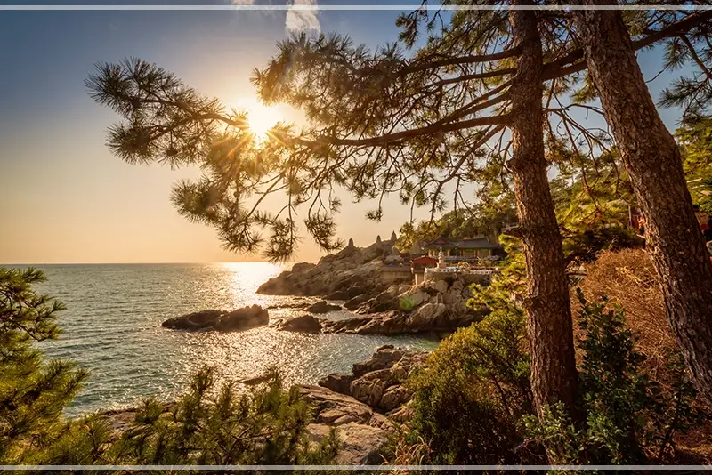 부산-택시-기본요금-할증-시간대