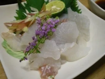 6월 제철회 종류별 신선한 해산물의 맛있는 향연_12