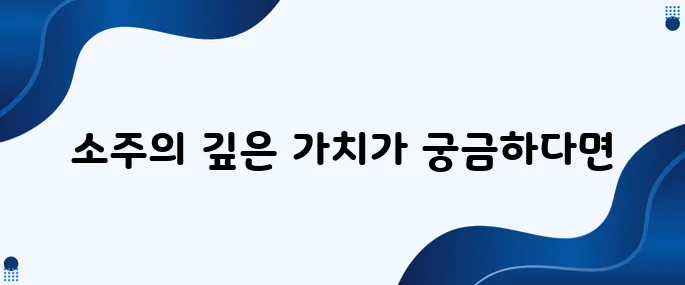 소주의 진정한 의미는 무엇일까?