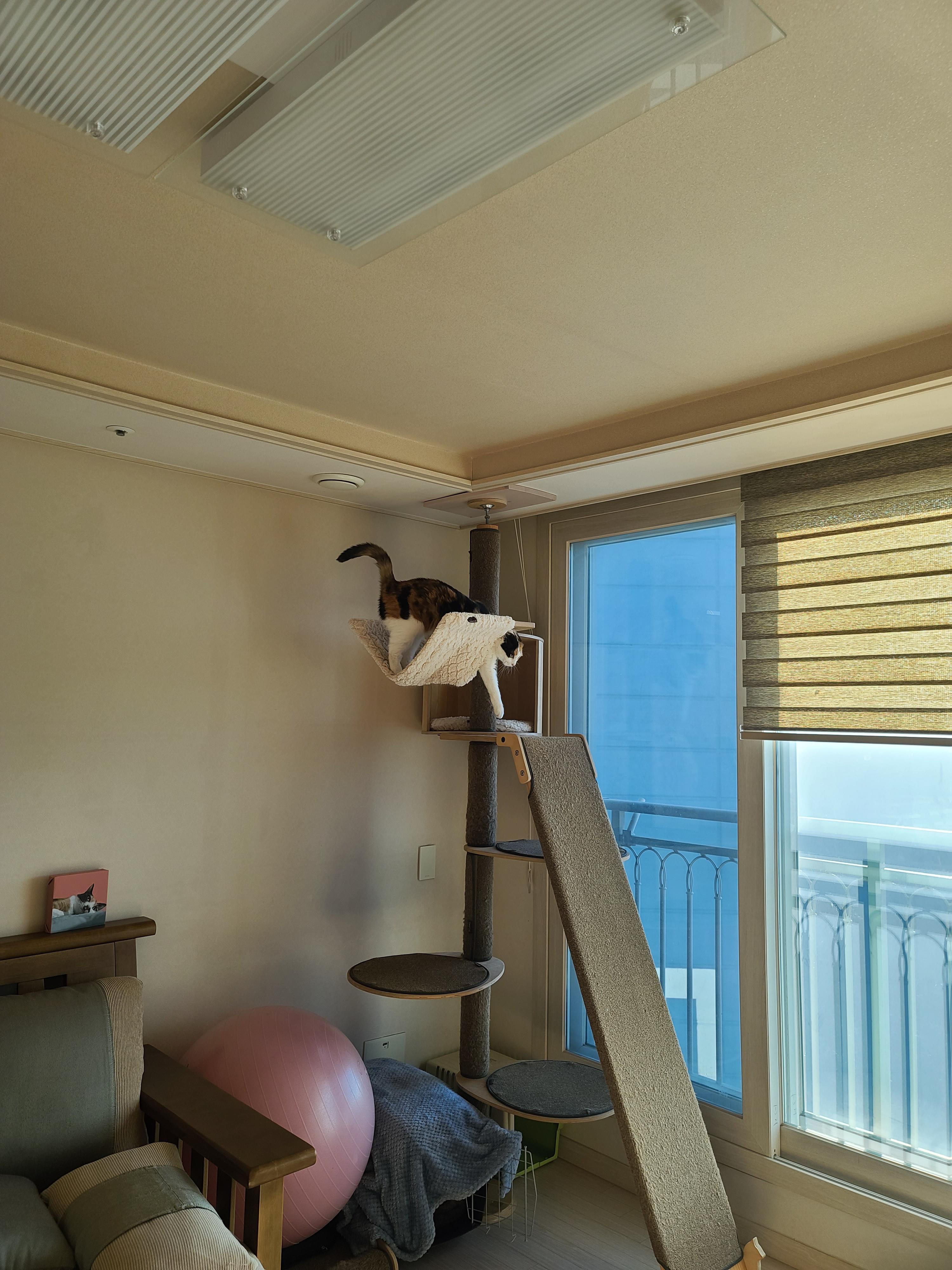 아침인사 요란하게 하는 요미 ㅋ