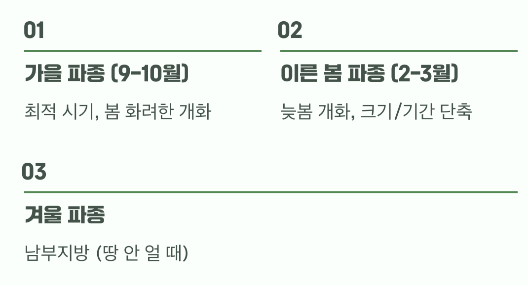 씨앗 뿌리는 최적의 타이밍