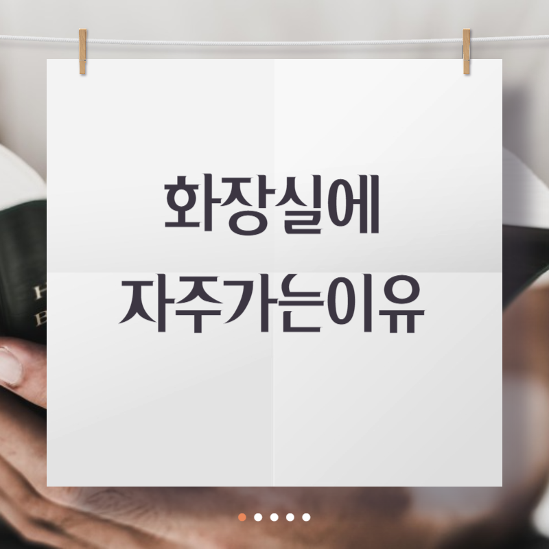 화장실에 자주가는이유