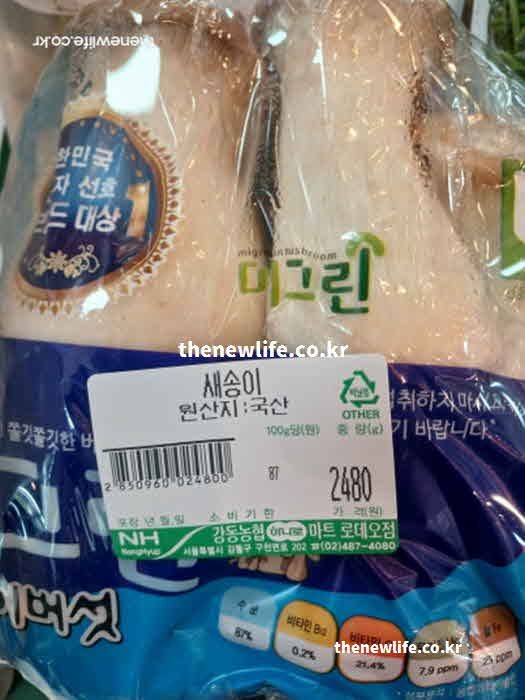 고지혈증 좋은 음식 버섯 새송이버섯