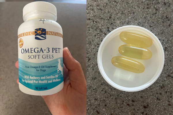 강아지_오메가3