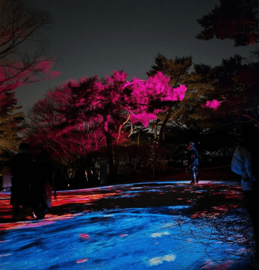 빛과 궁이 만나는 예술의 밤&amp;#44; 창경궁 물빛연화